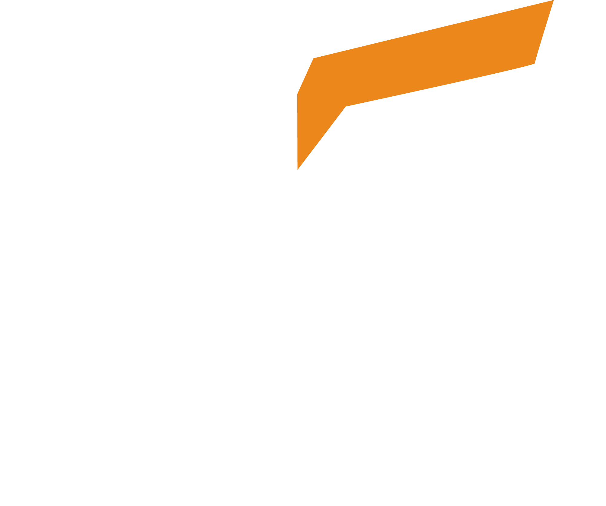 Sicurezza per Famiglie e Imprese. - CVO Security